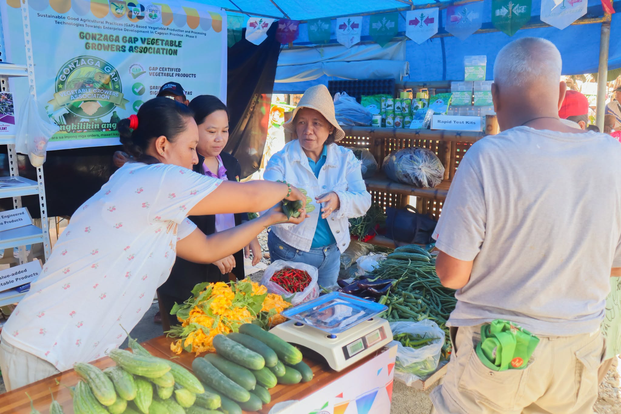 FROM FARM TO MARKET: GONZAGA GROWERS POST ₱44,105 SALES USING GAP-BASED VEGETABLE PRODUCTS photo 2
